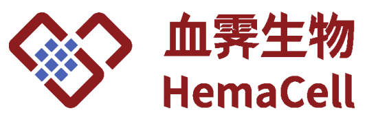 血小板细胞治疗公司血霁生物完成A1轮首关，中博聚力领投
