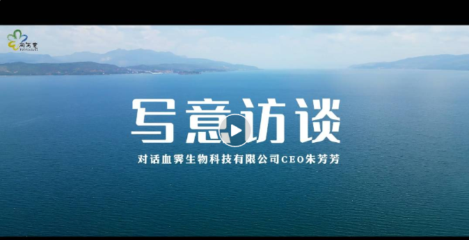 同写意对话血霁生物创始人朱芳芳博士